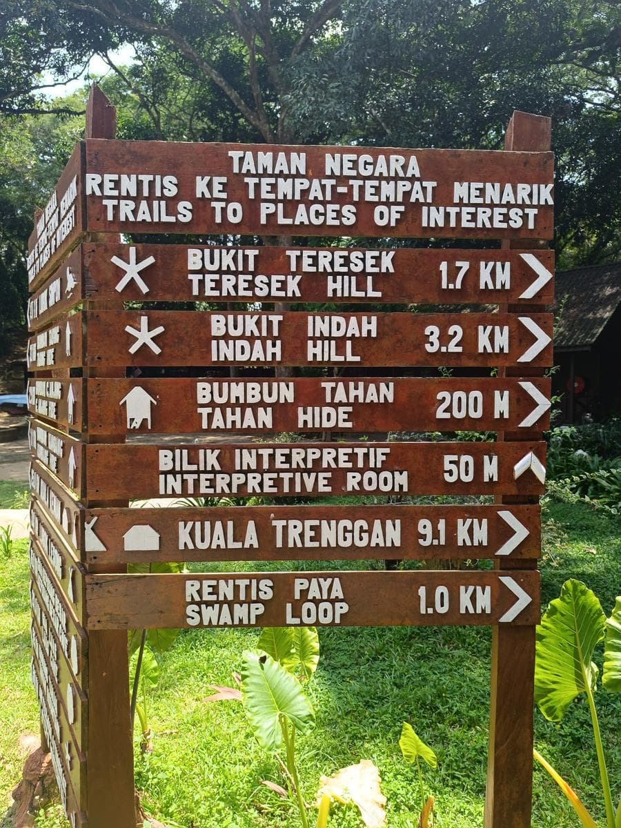 From Kuala Lumpur: Full-Day Taman Negara National Park photo 3