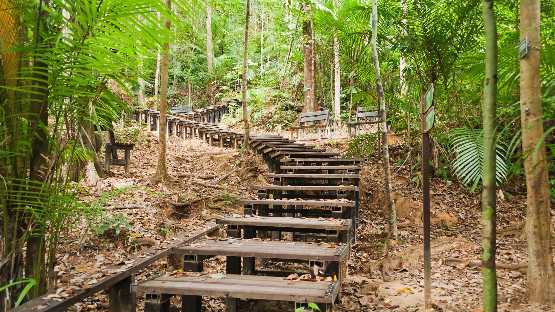 From Kuala Lumpur: Full-Day Taman Negara National Park photo 2